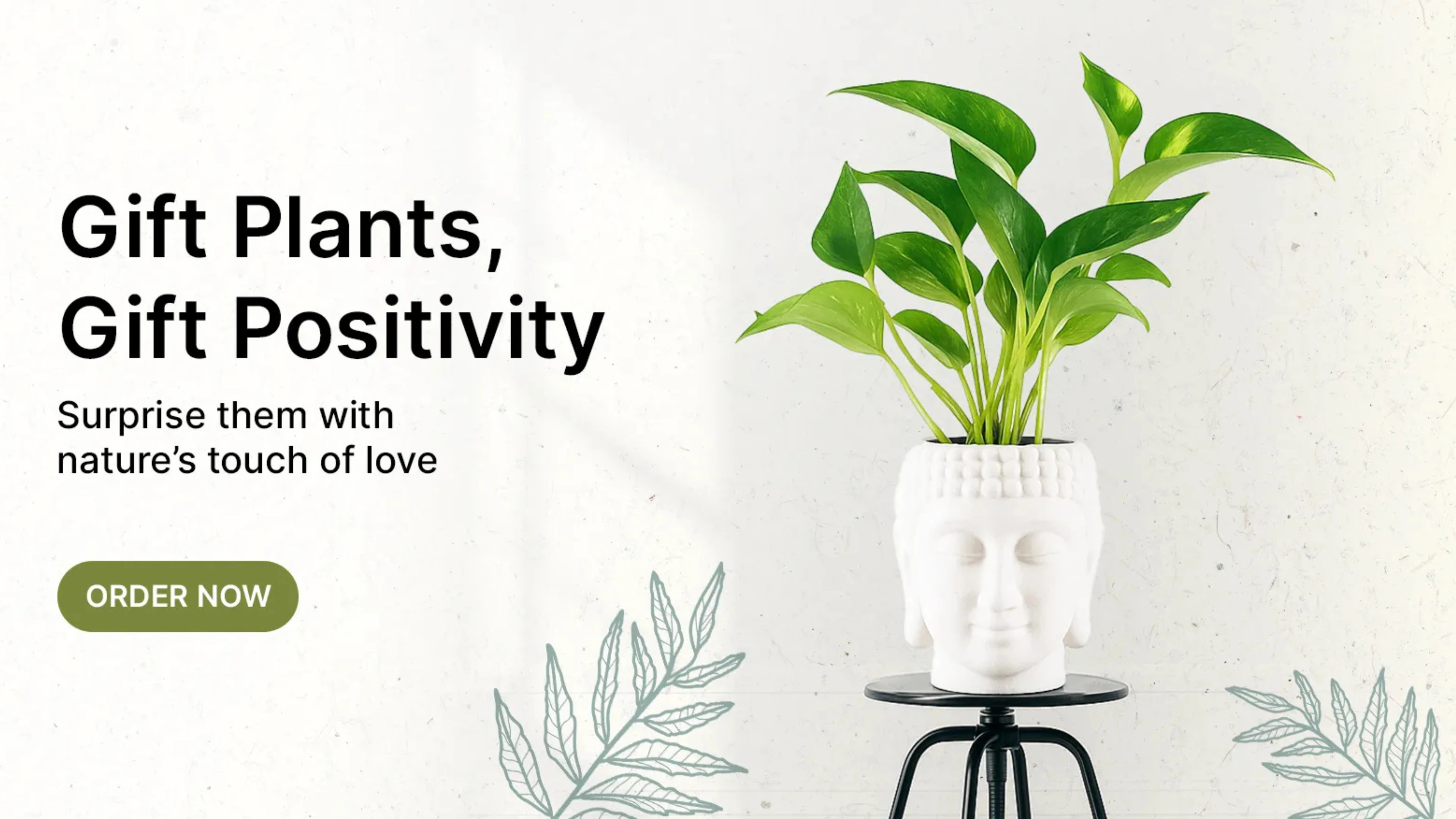 Indoor money plant in a white Buddha-shaped ceramic pot for positive vibes.