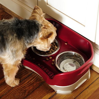 Buy Pet Bowls & Feeders Online at StriWears Pet Shop