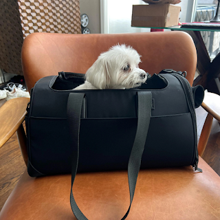 Buy High-Quality Pet Crates & Carriers for Safe Travel Online at StriWears Pet Shop