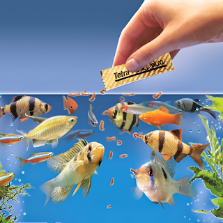 Buy High-Quality Fish Food & Treats Online at StriWears Pet Shop