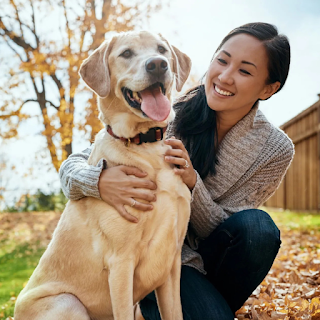 Buy Pet Parents Products & Supplies Online at StriWears Pet Shop